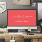 Las Mini Empresas también existen